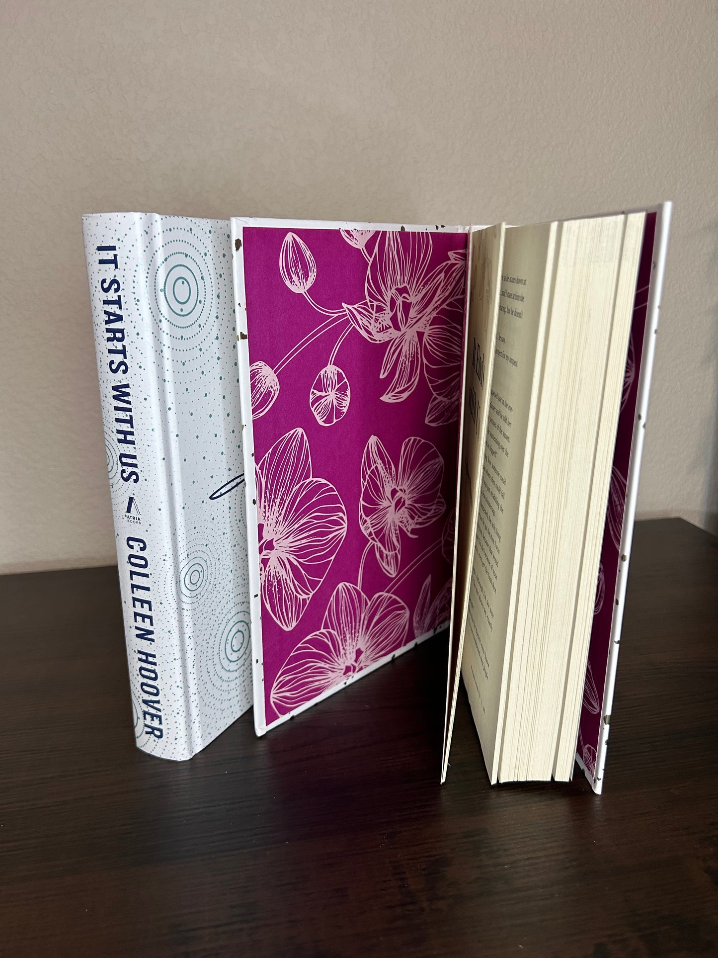 It Ends with Us Collectors set