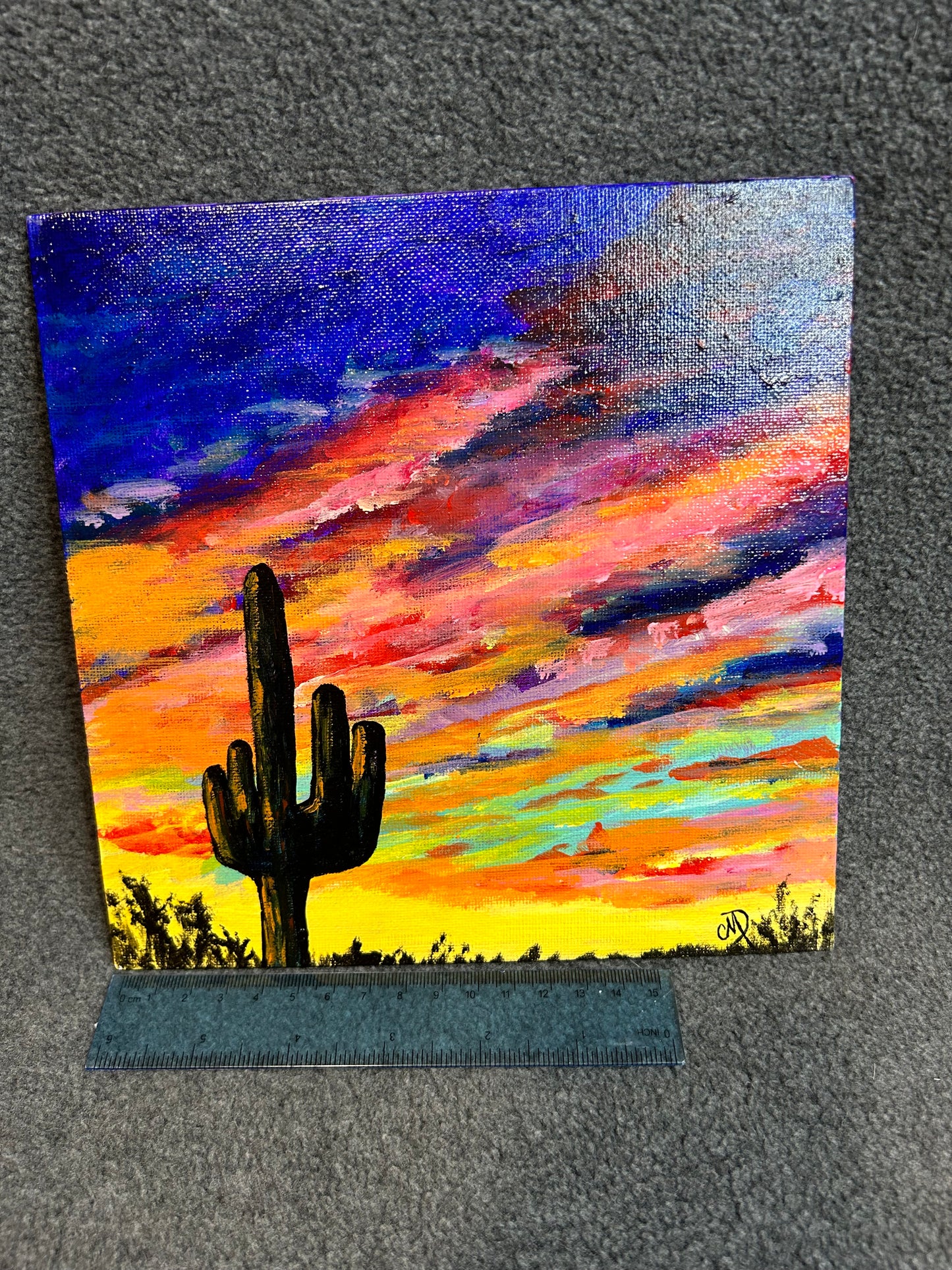 New Mexico Sunset