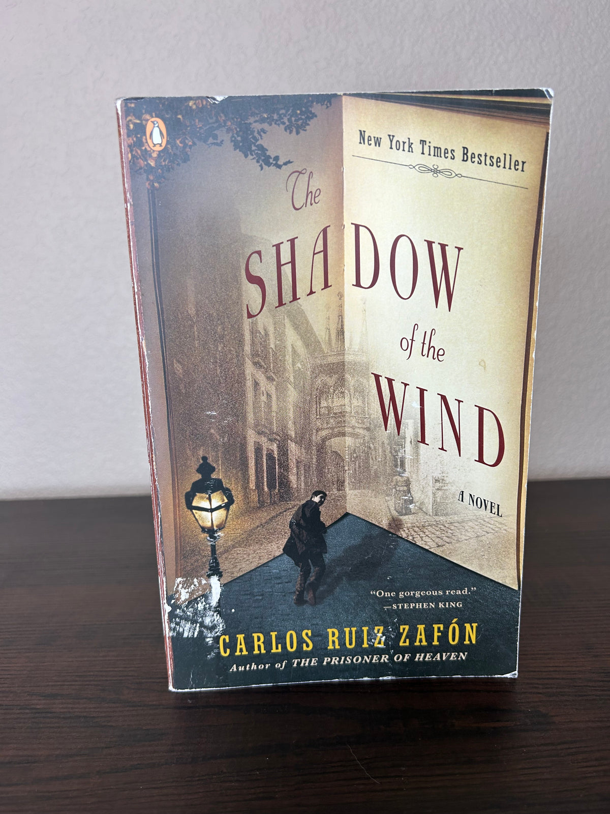 The Shadow of the Wind