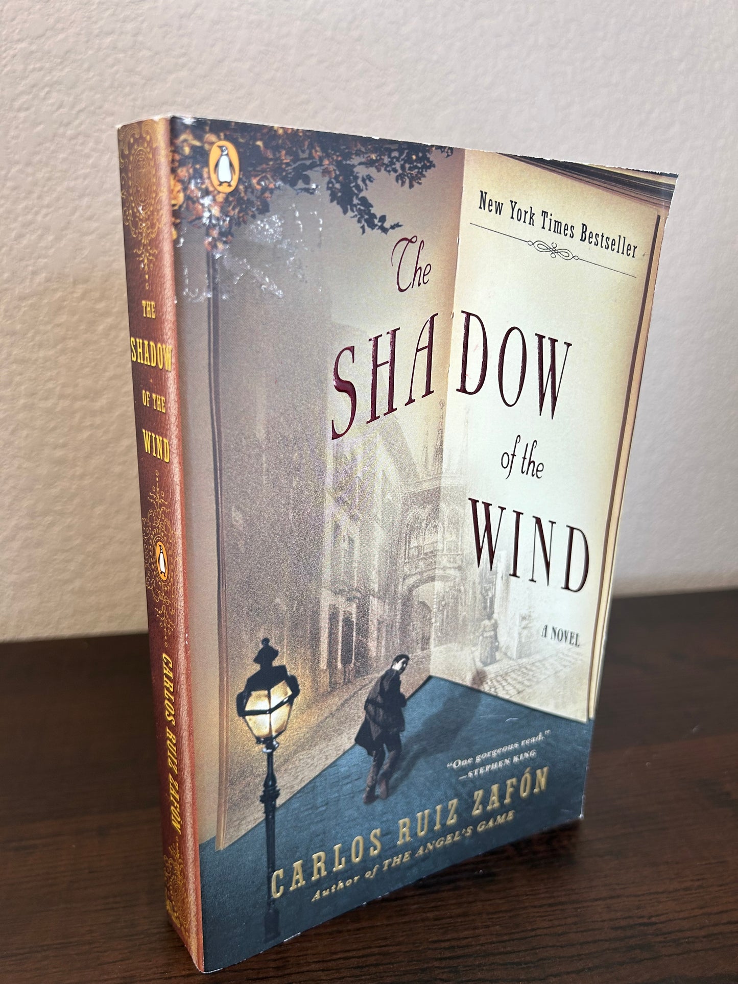 The Shadow of the Wind