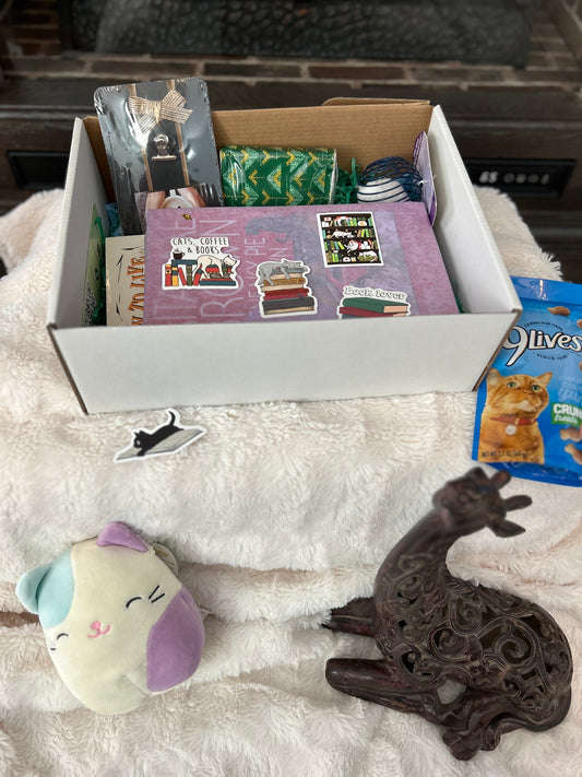 Cat Lovers Book Box!