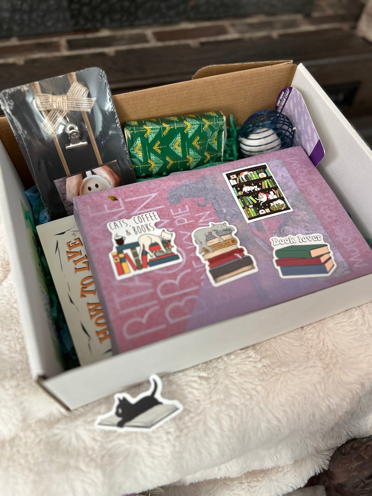 Cat Lovers Book Box!