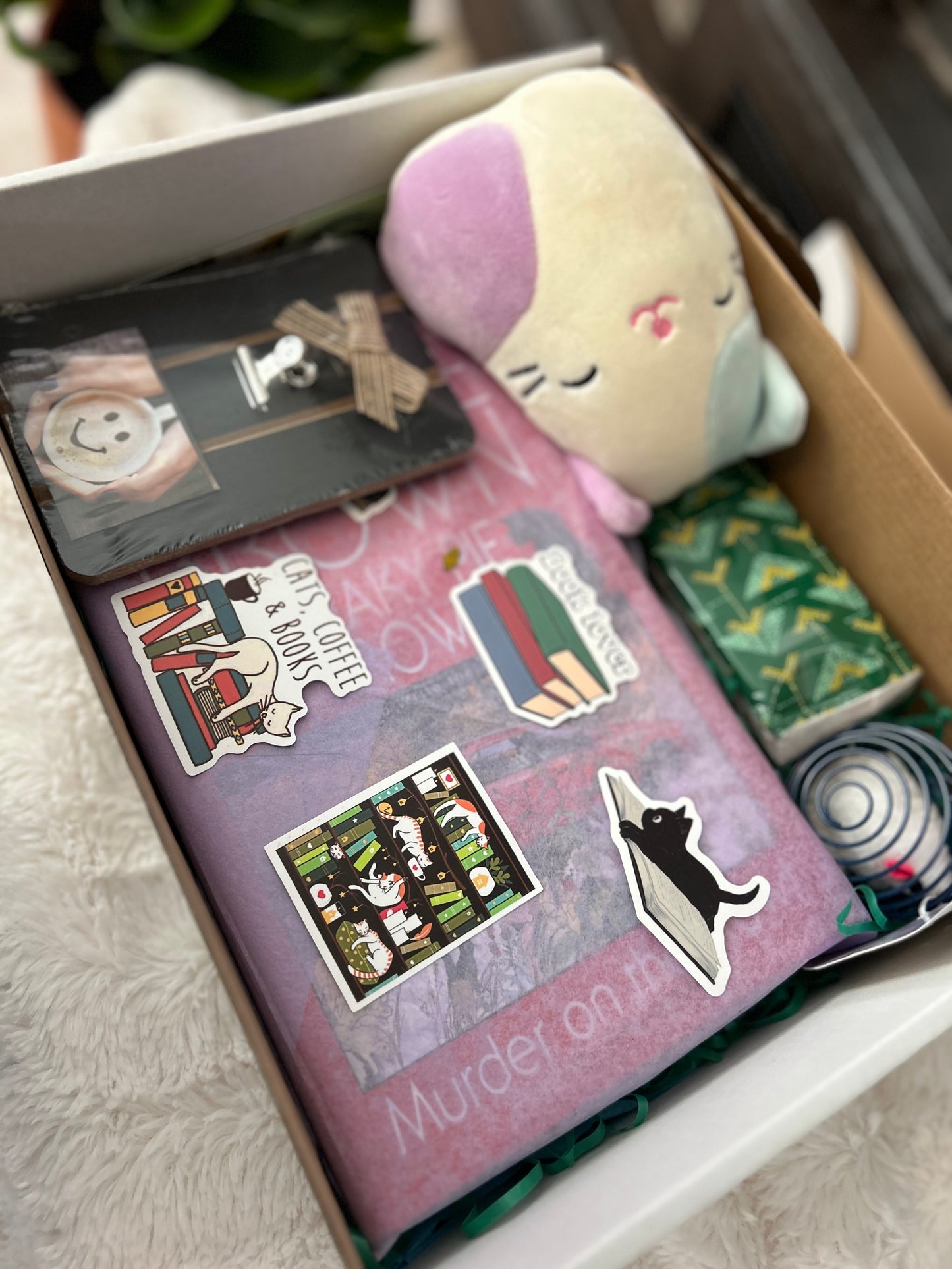 Cat Lovers Book Box!